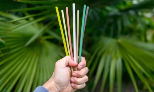 Ống hút thân thiện môi trường thu hút cộng đồng quốc tế