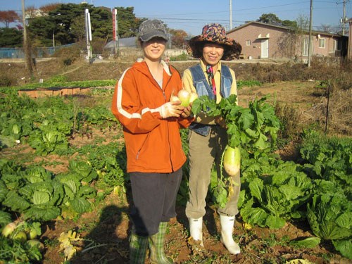Thêm cơ hội cho người lao động đi làm việc thời vụ tại Hàn Quốc