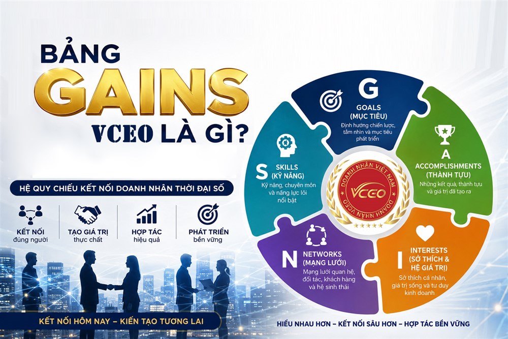 Bảng G.A.I.N.S VCEO Hệ quy chiếu kết nối doanh nhân thời đại số