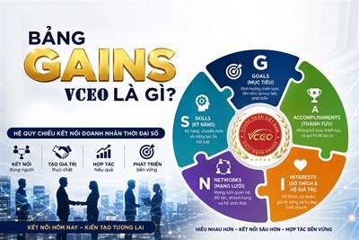 Bảng G.A.I.N.S VCEO Hệ quy chiếu kết nối doanh nhân thời đại số