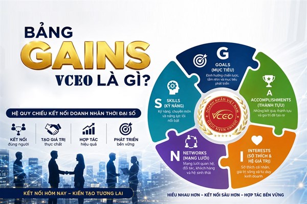 Bảng G.A.I.N.S VCEO Hệ quy chiếu kết nối doanh nhân thời đại số