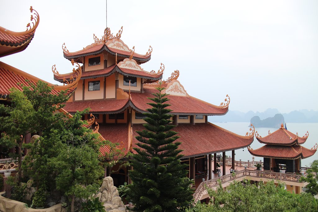 https://vceo.vn/images/gallery/images/blog/IMG_6103.JPG